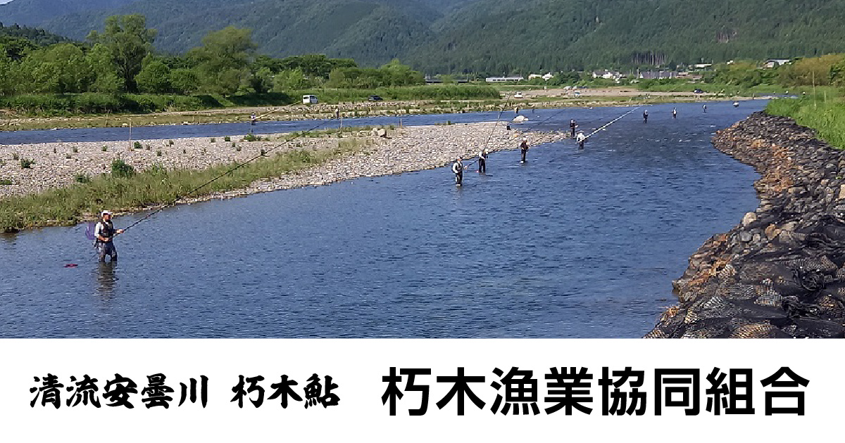 安曇川本流 | 河川案内 | 朽木漁業協同組合