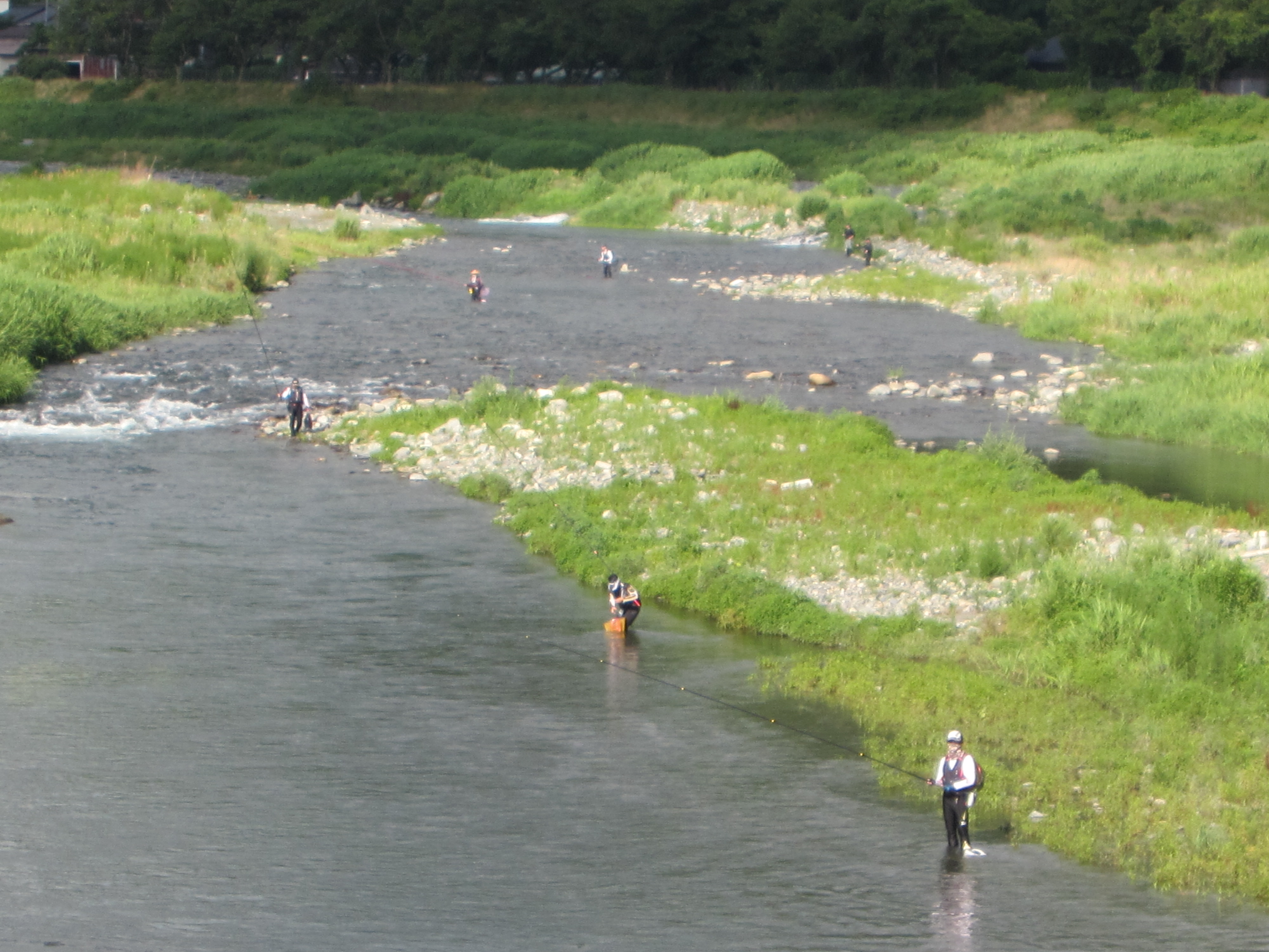 ７月１９日(土)の河川状況