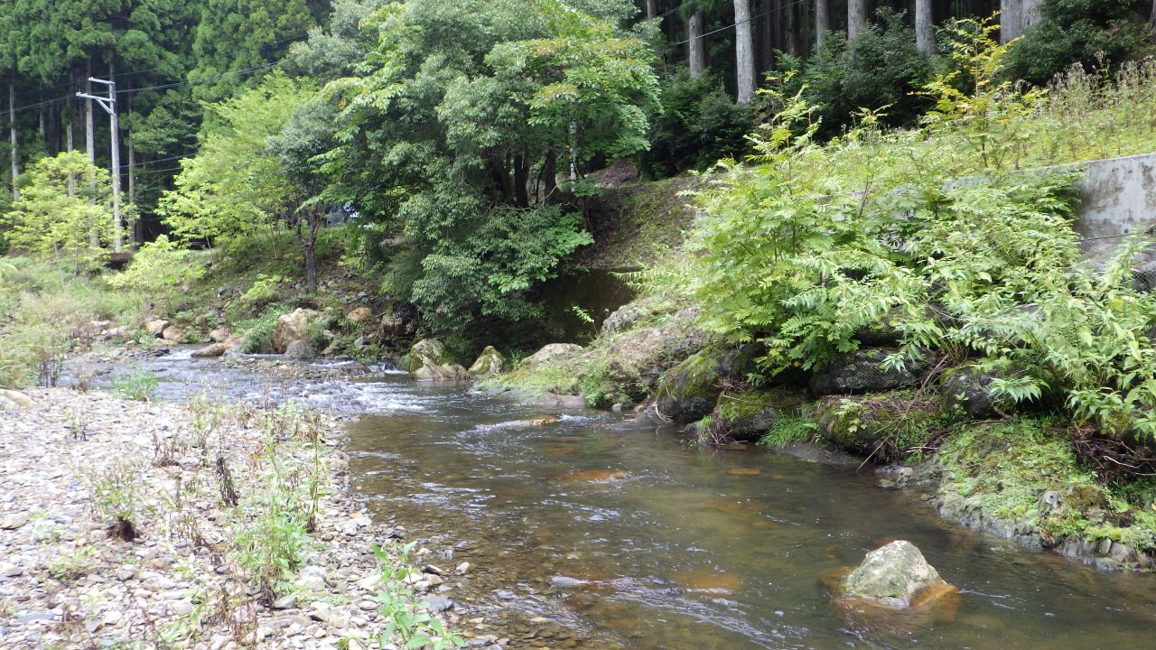 麻生川での渓流魚の釣果をいただきました！！