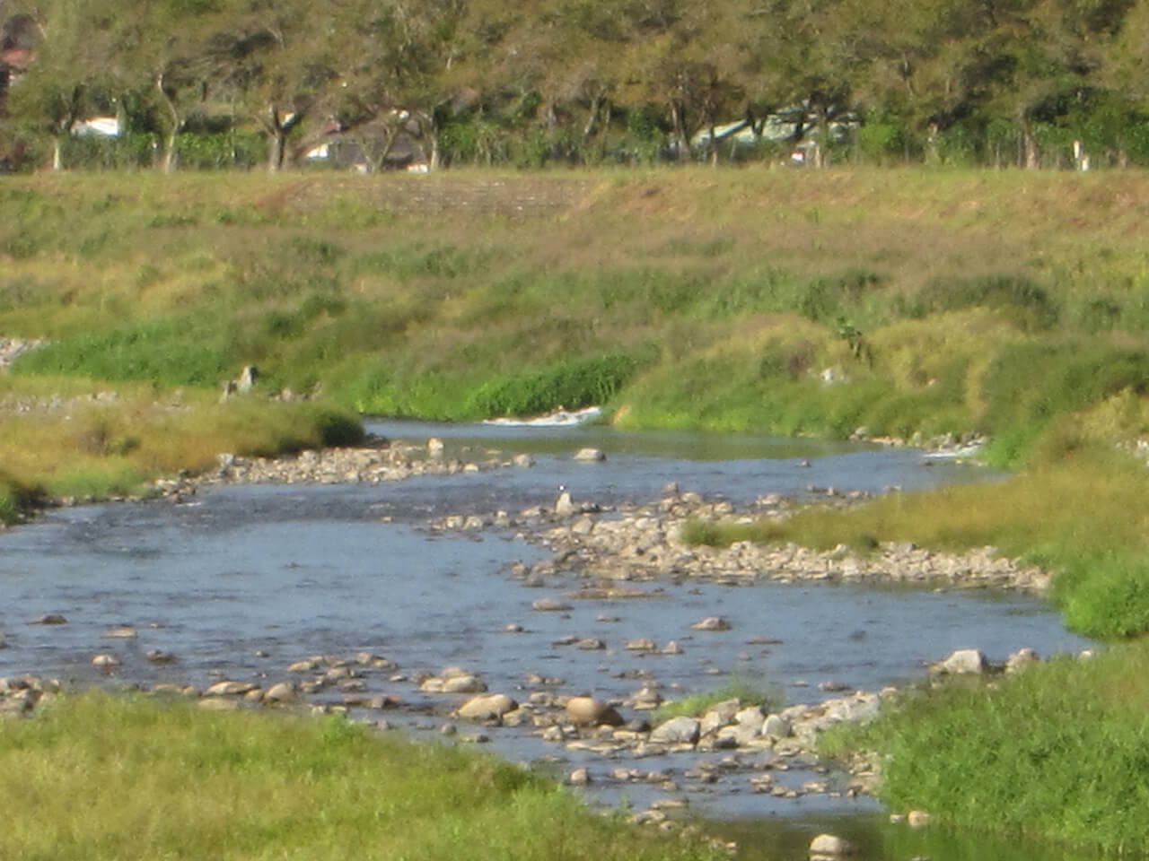 ９月３０日(火)の河川状況