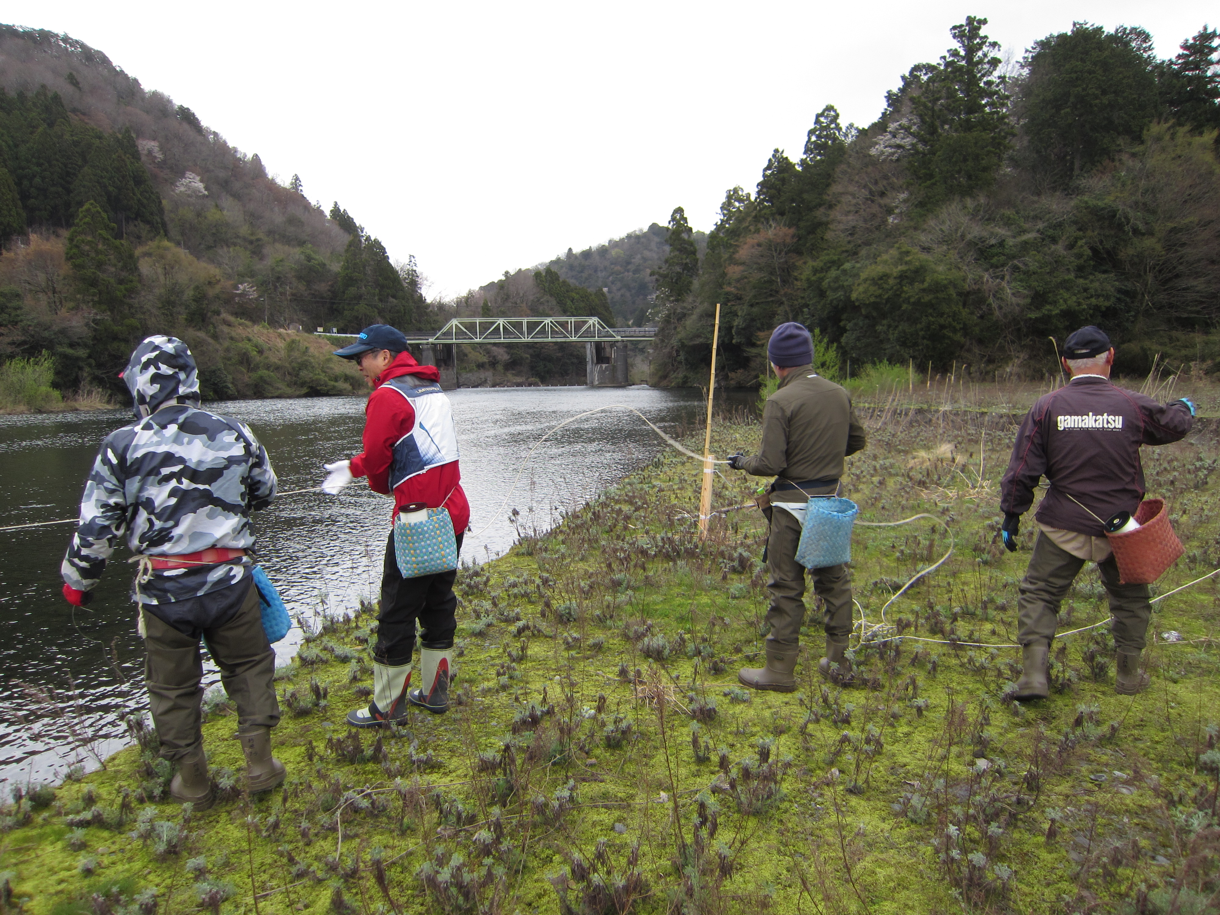 カワウ防除対策に向けて(テグス糸)作業開始　‼️