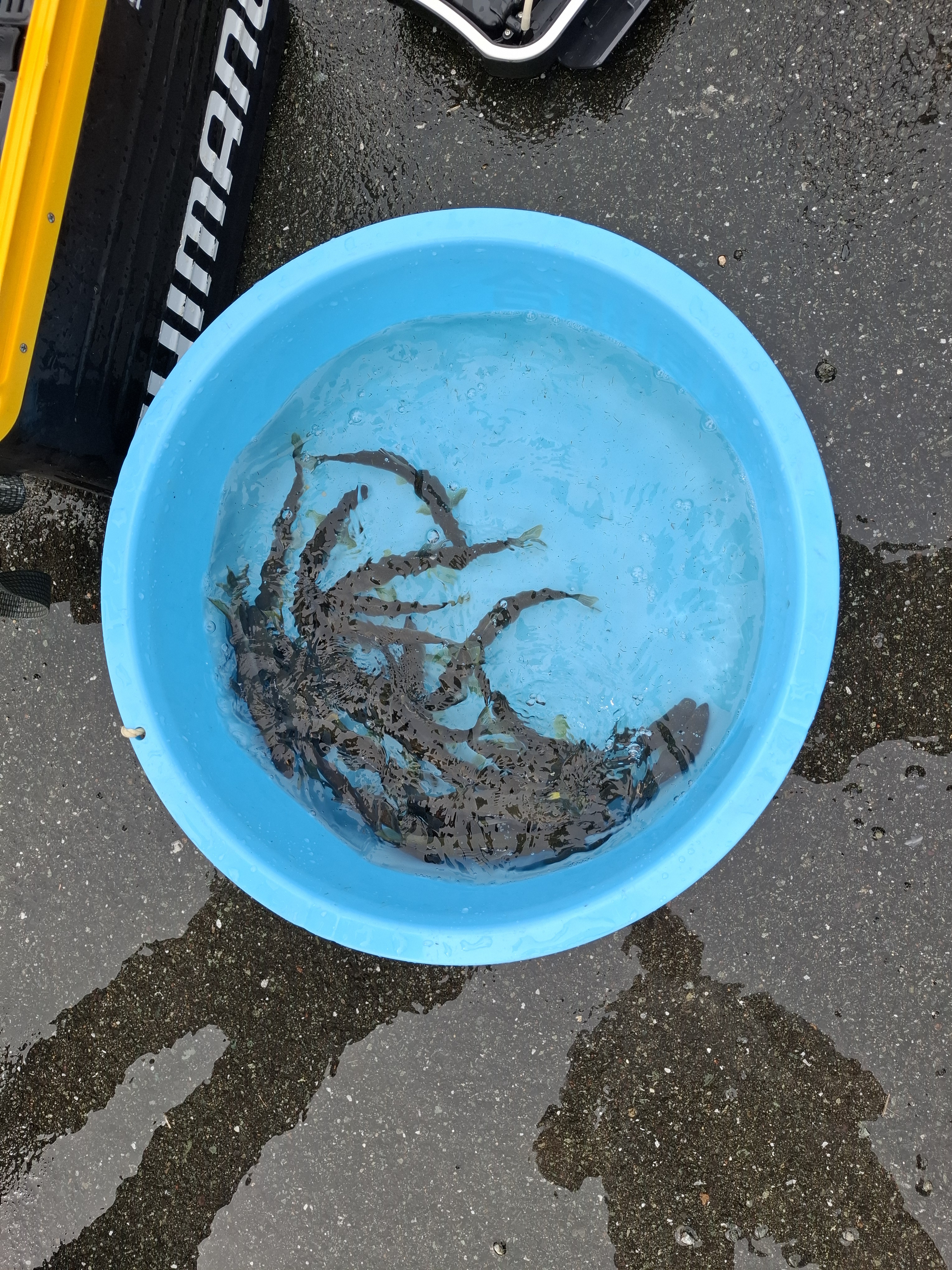 本日、試し釣りを実施しました。