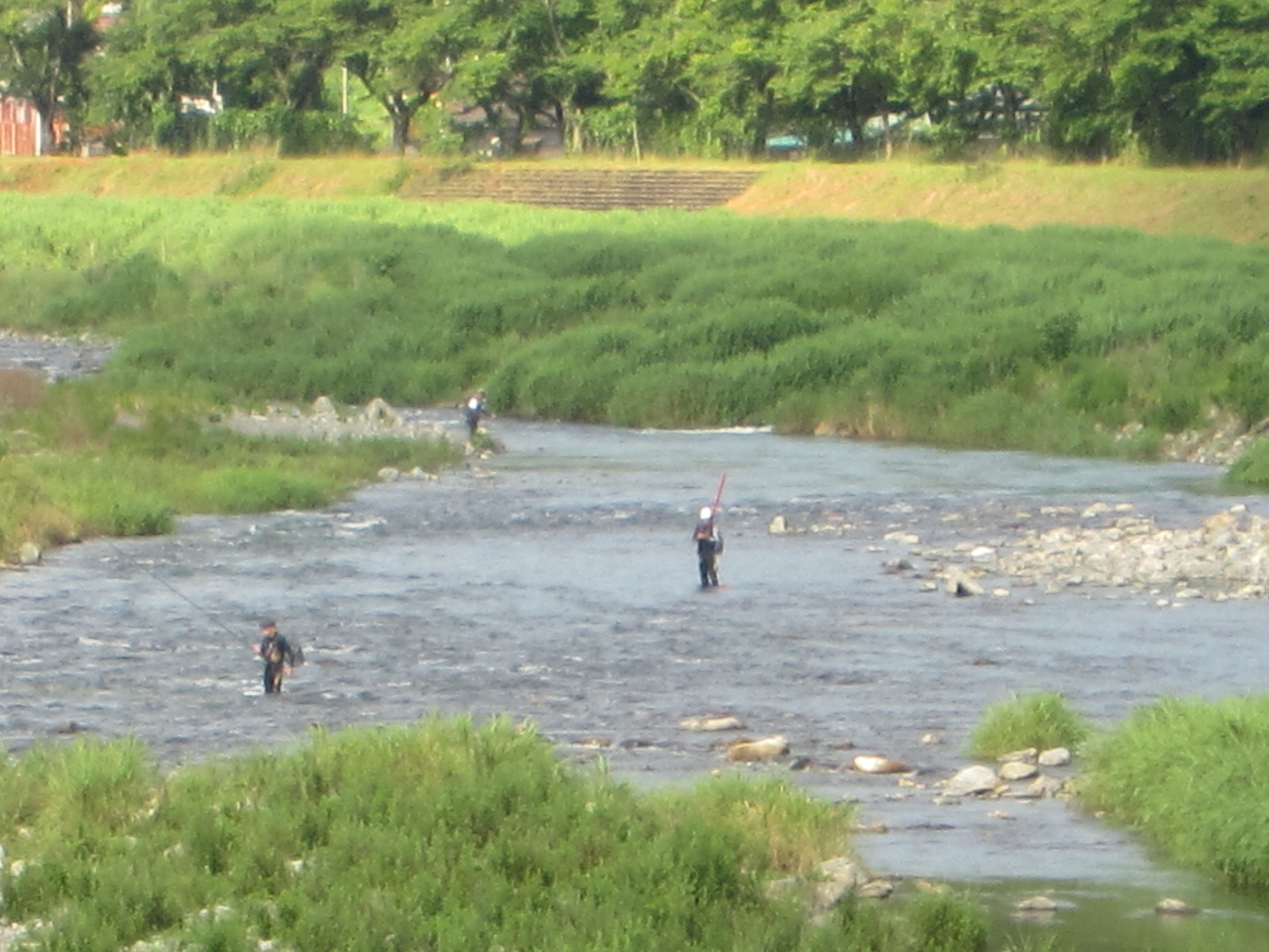 ６月２１日(日)の河川状況