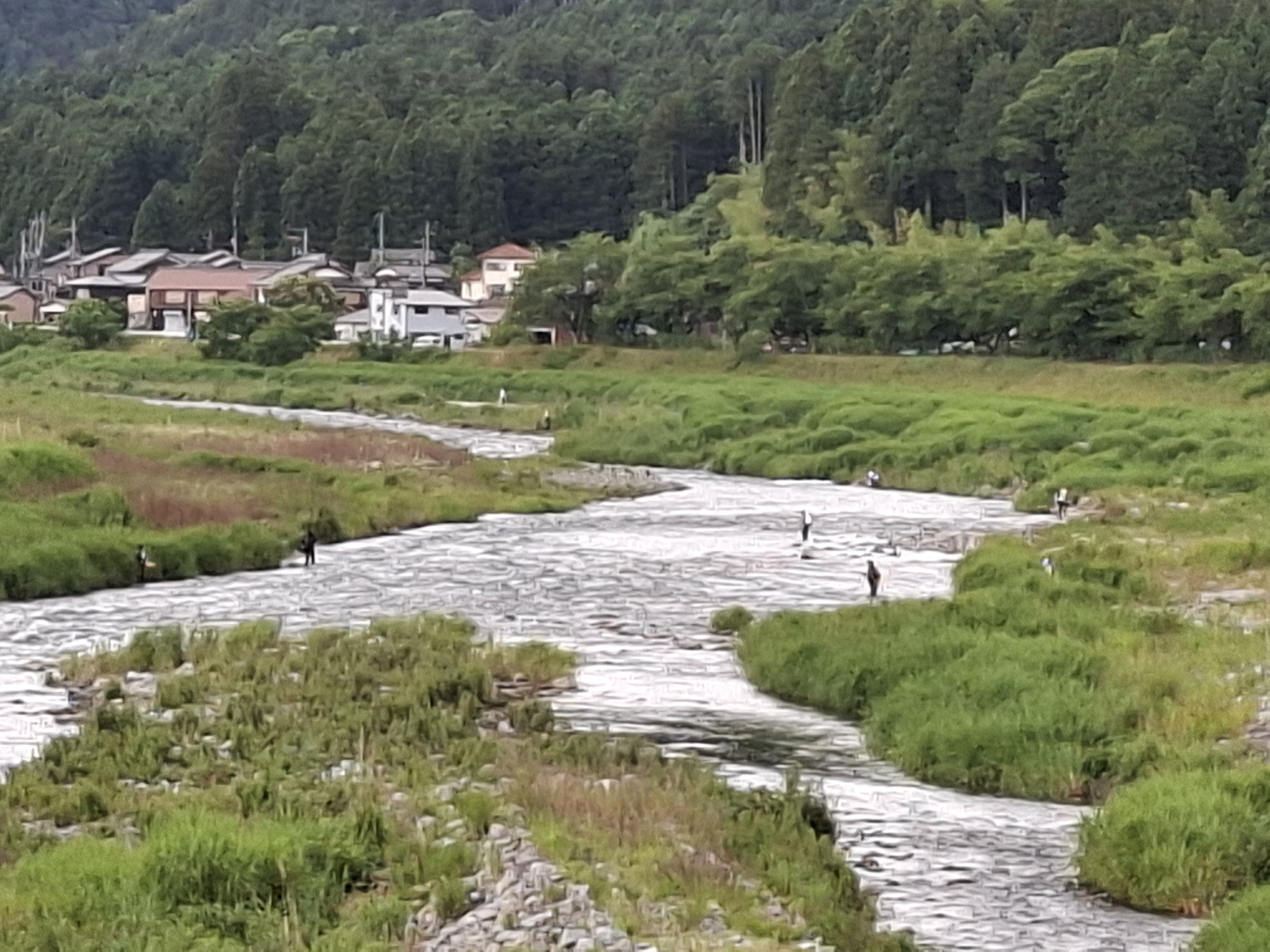 ６月１０日(水)の河川状況