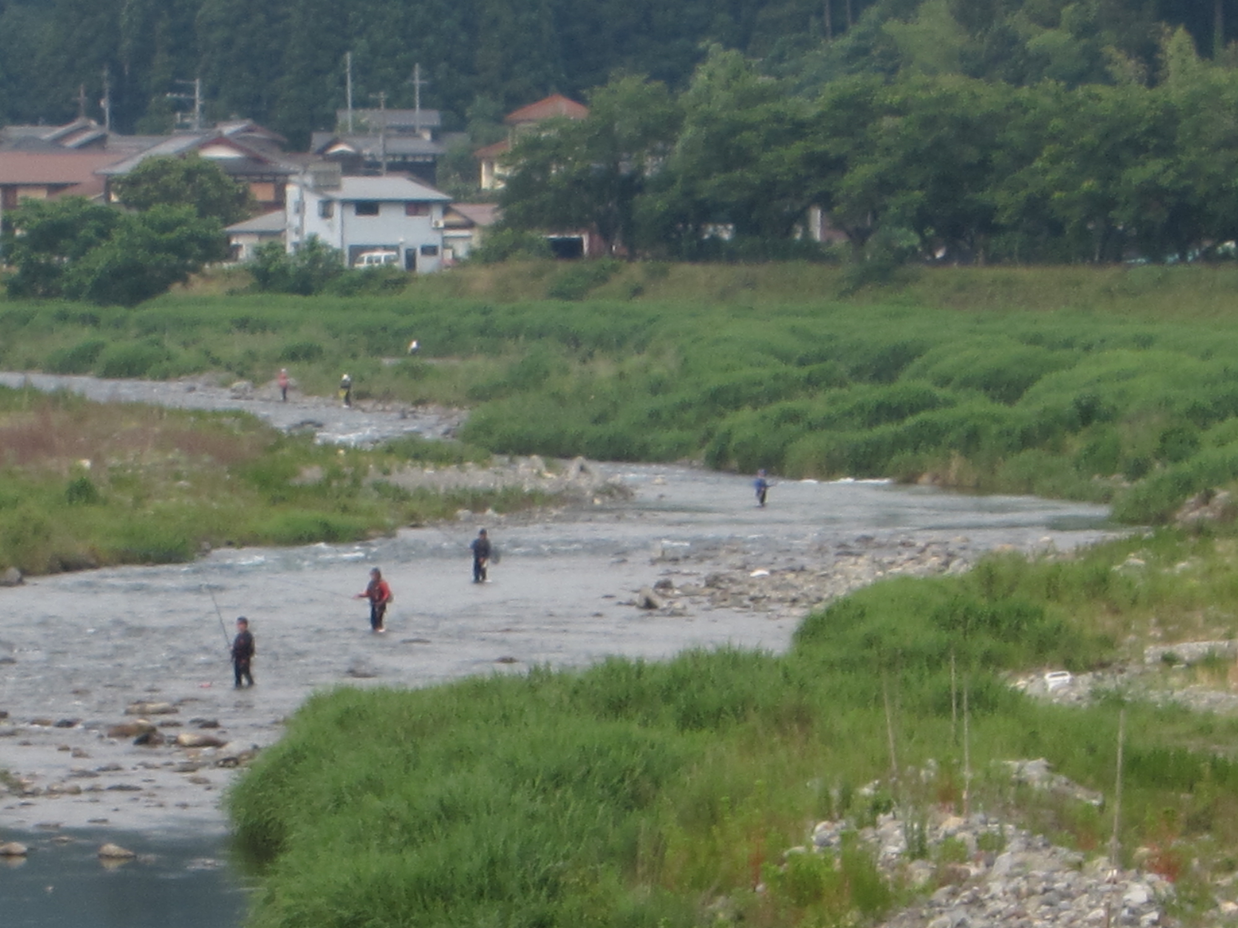６月１４日(日)の河川状況