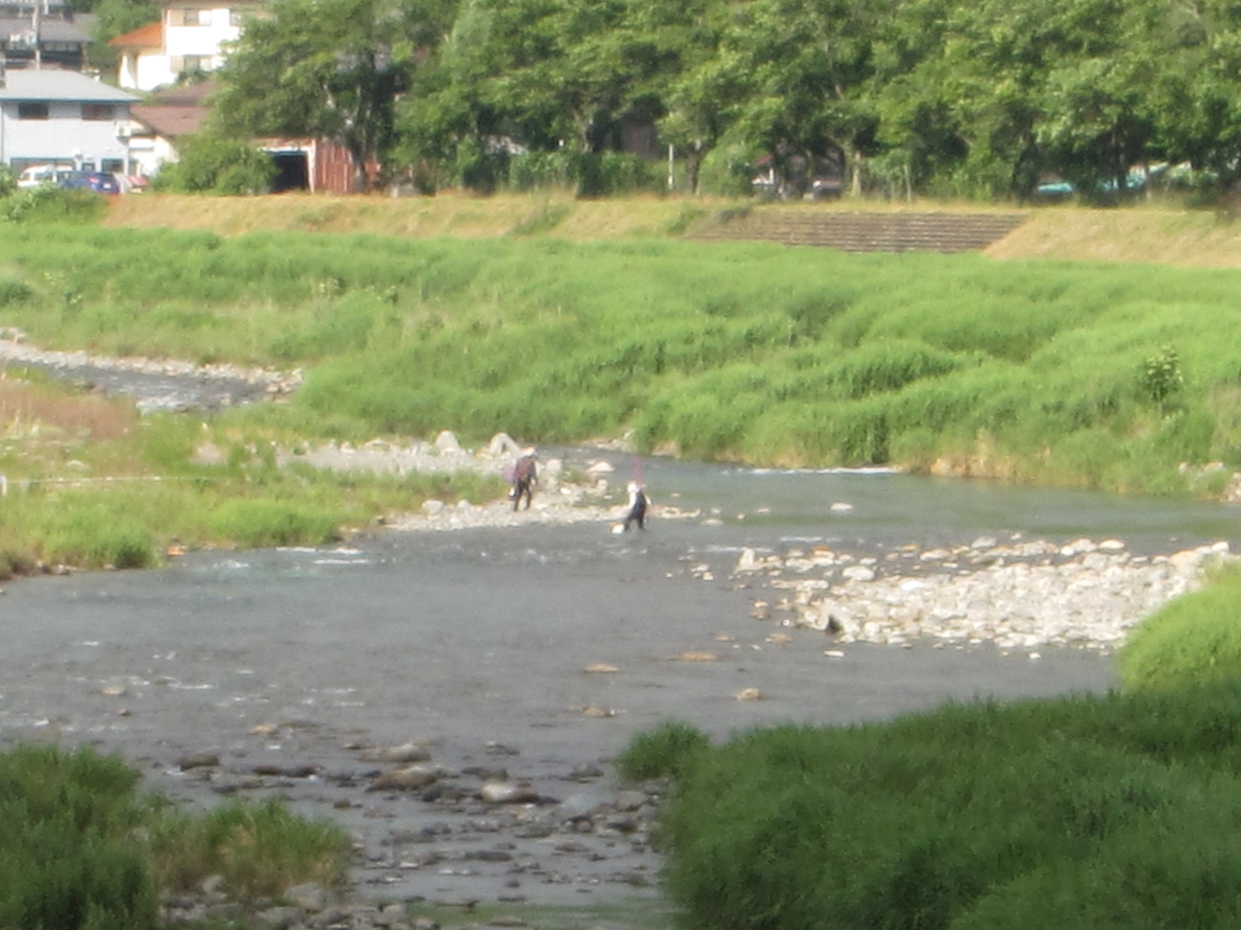 ６月１６日(火)の河川状況