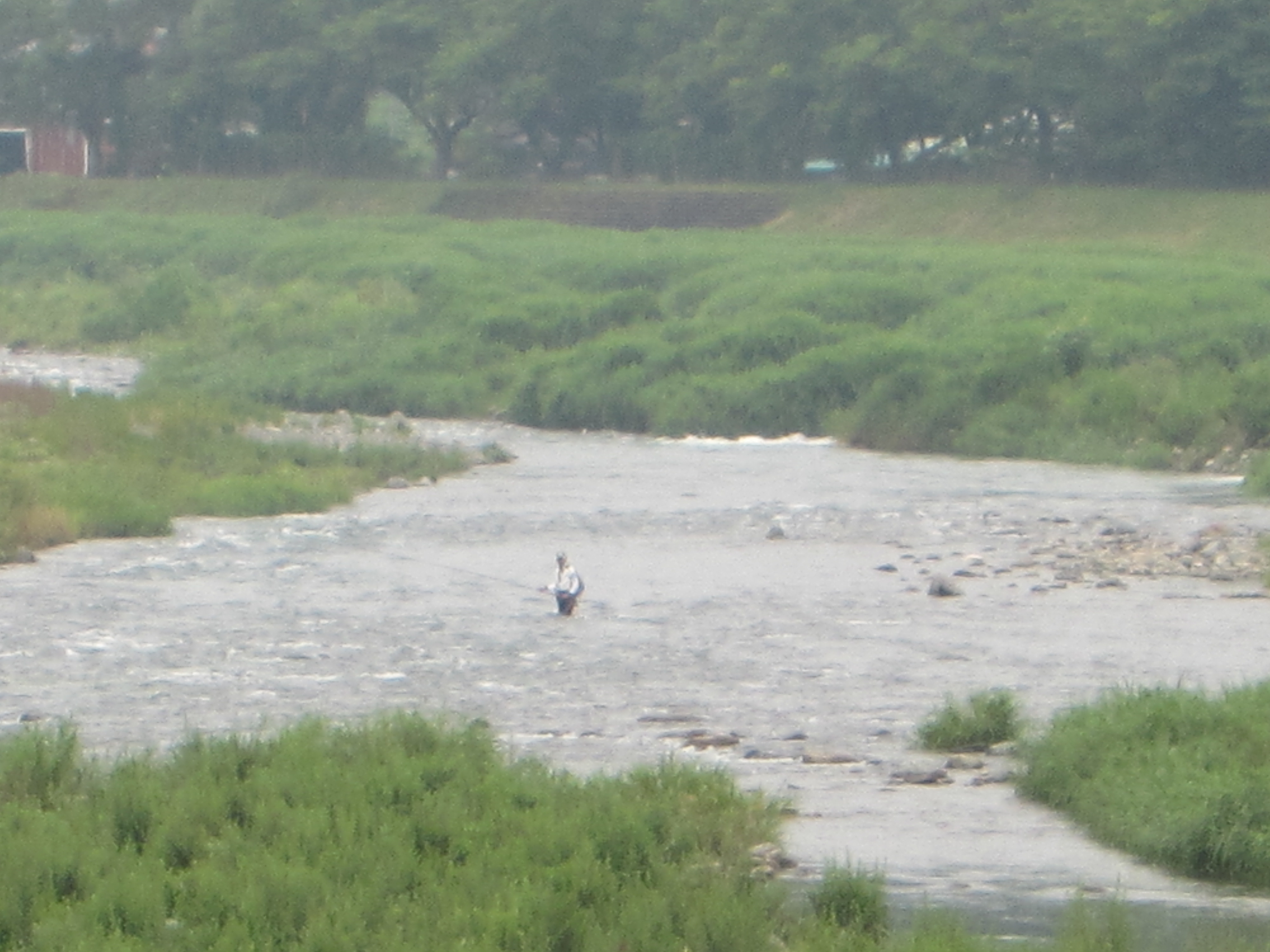 ７月１日(水)の河川状況