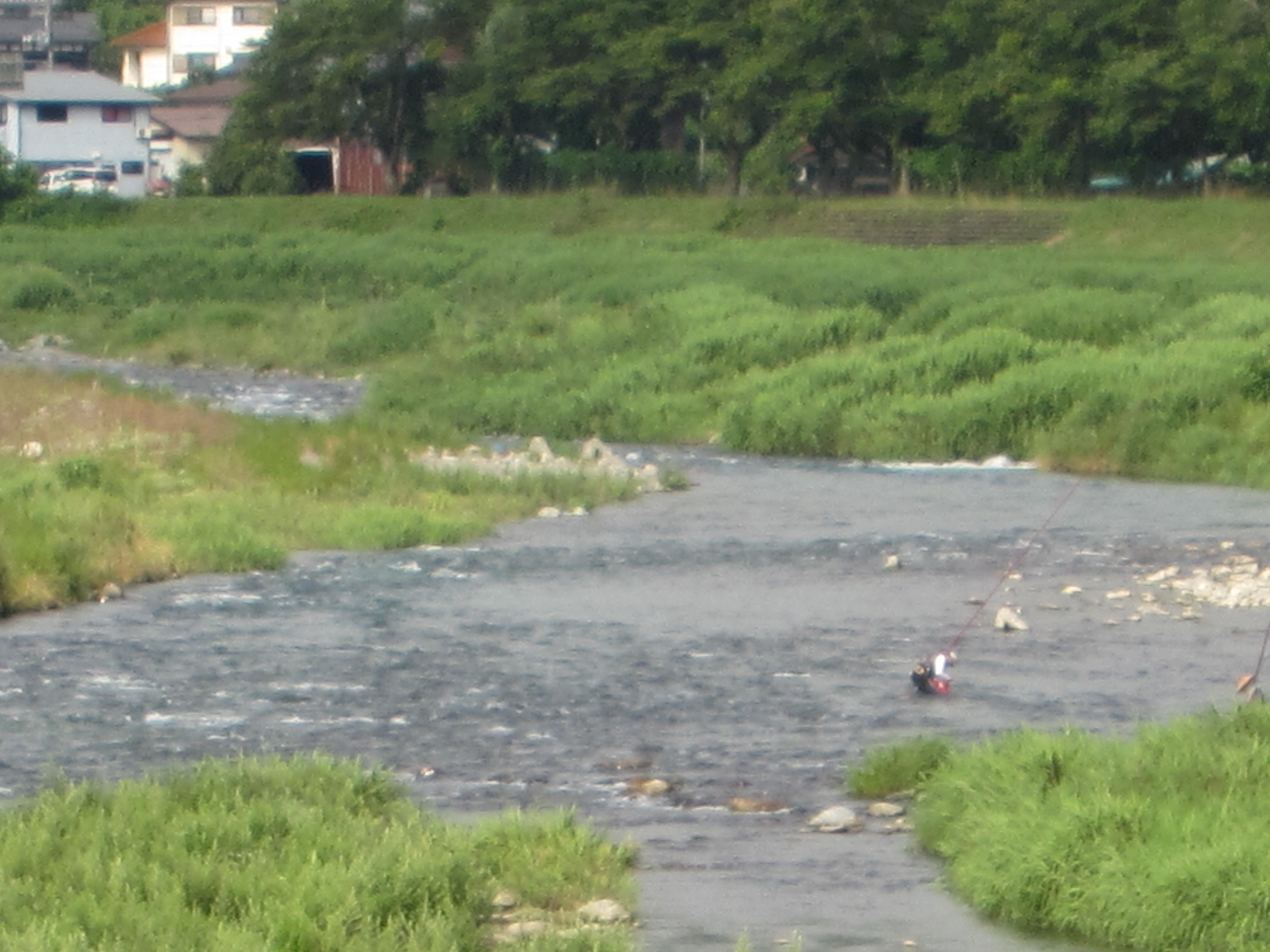 ７月１１日(土)の河川状況