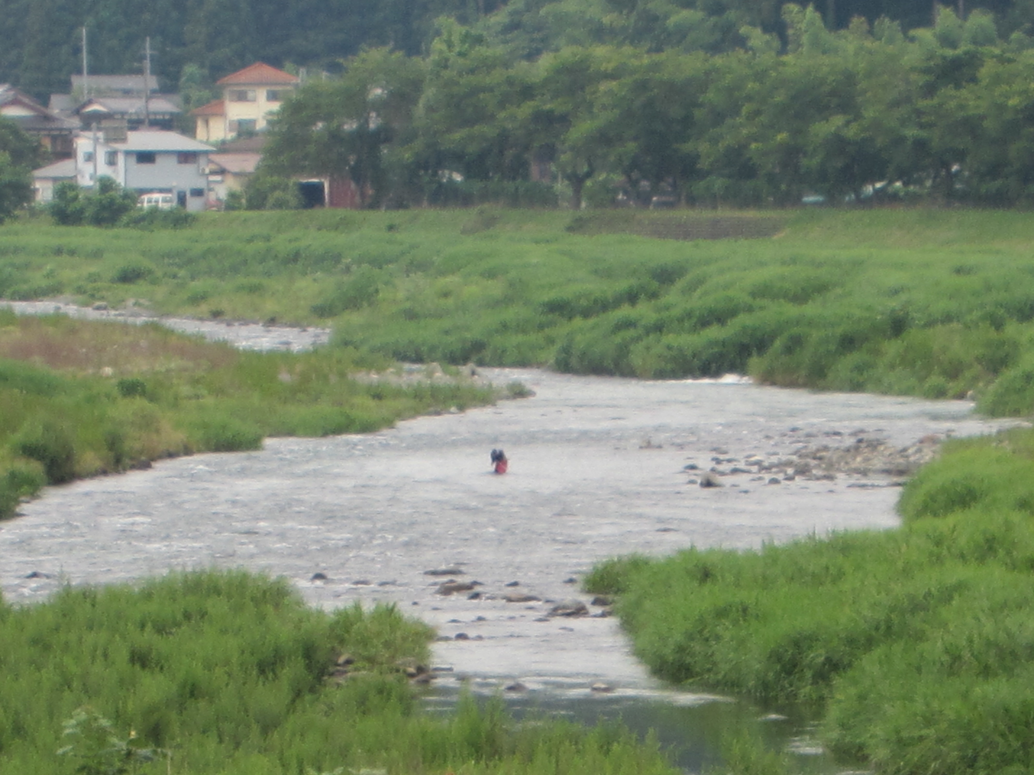 ７月１３日(月)の河川状況