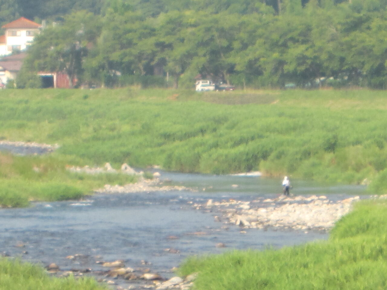 ７月２２日(水)の河川状況