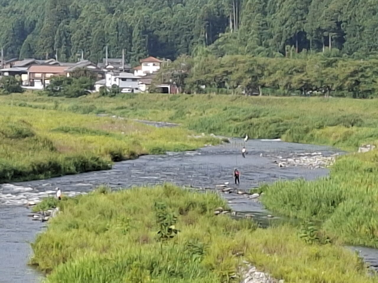 ８月３０日(日)８時30分の河川状況