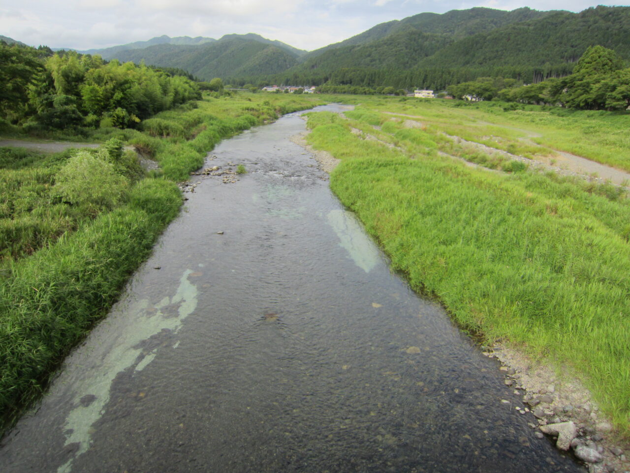 ８月１６日(日)の河川状況
