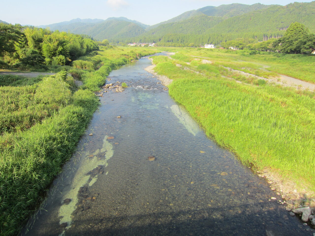 ８月２４日(月)の河川状況