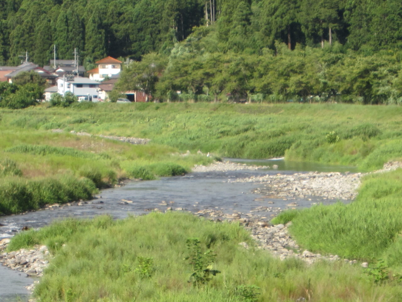８月１７日(月)の河川状況